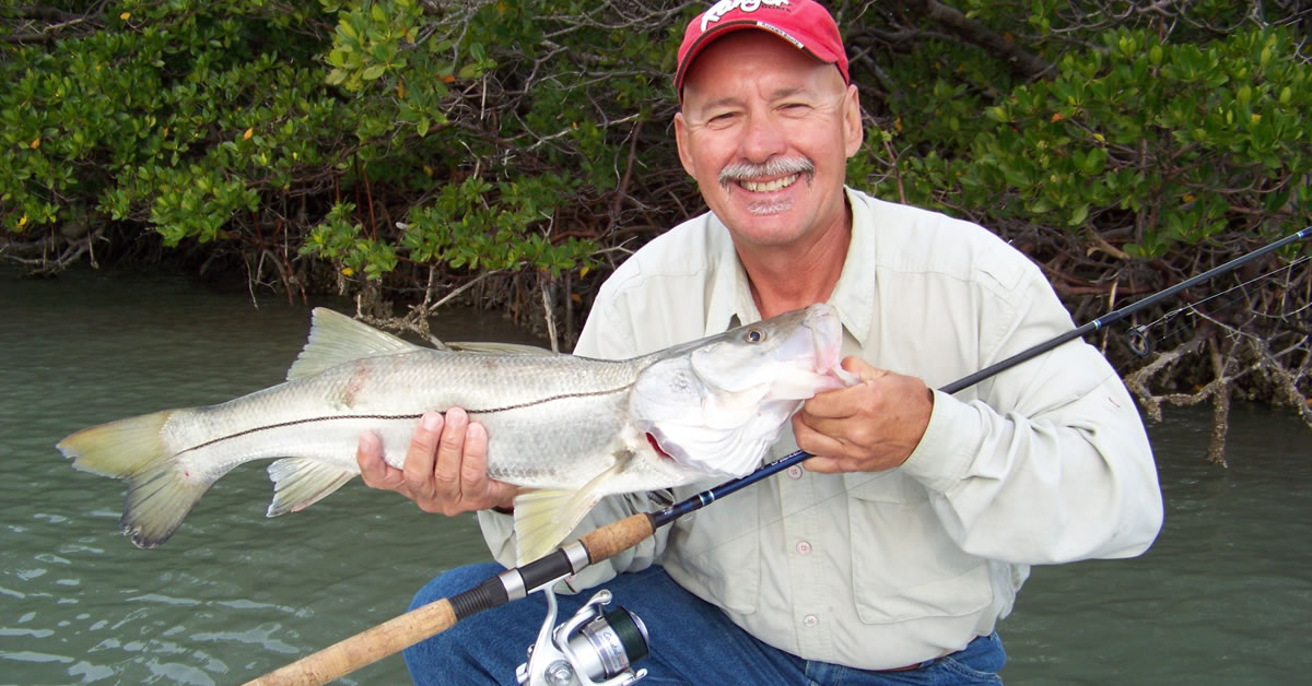 Snook, like this nice one caught by Ray Van Horn, are like a saltwater version of a largemouth bass, with just as much appetite for eating surface baits.