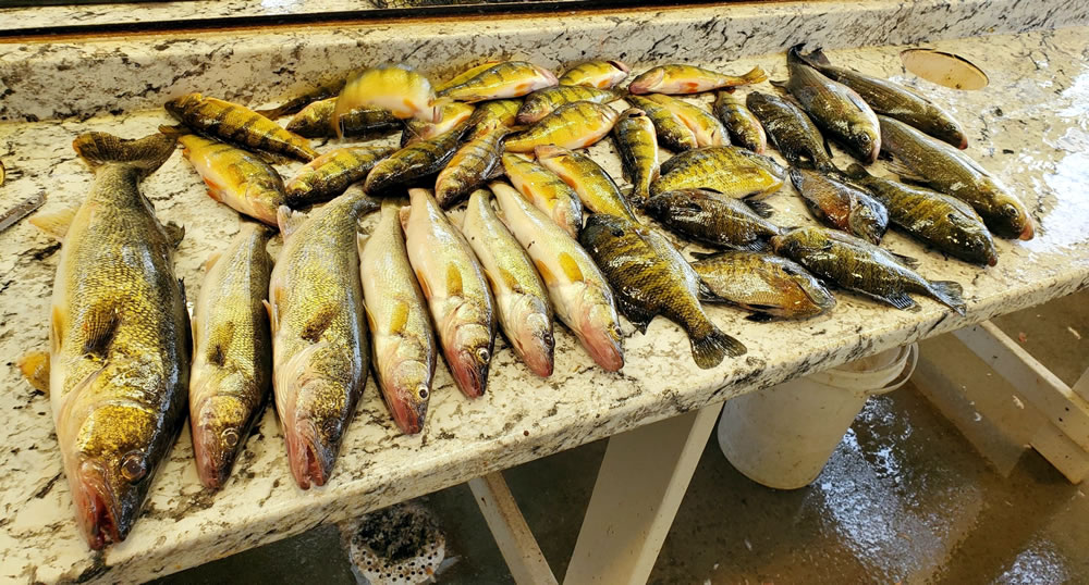 Nice pile of fish caught on Big Stone Lake, MN
