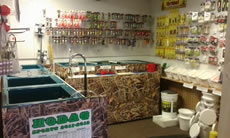 Bait Shoppe
