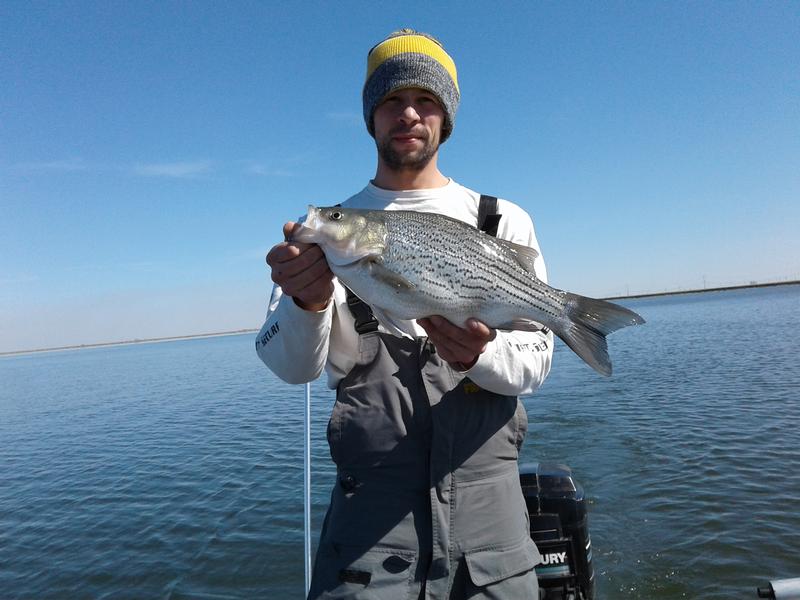 LaSalle Cooling Lake, La Salle County Fishing Reports and