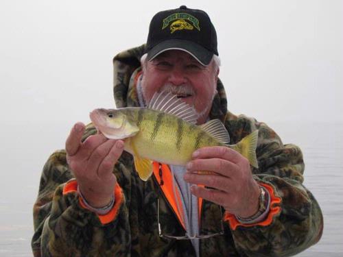 Where can you find a Lake Erie perch report?