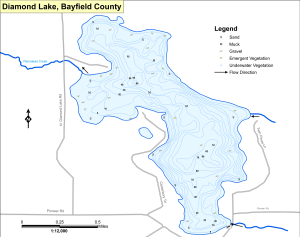 Diamond Lake Topographical Lake Map