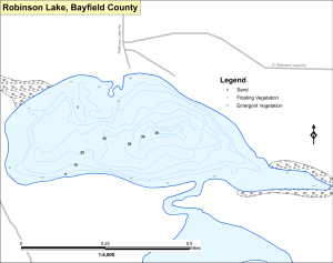 Robinson Lake Topographical Lake Map