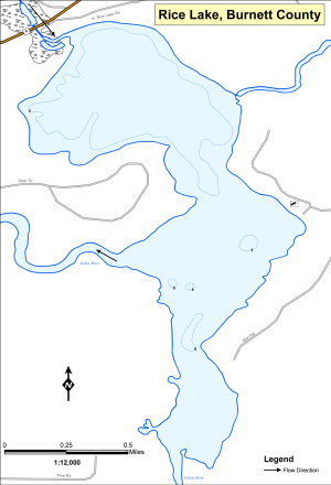 Rice Lake T39NR14WS10 Topographical Lake Map
