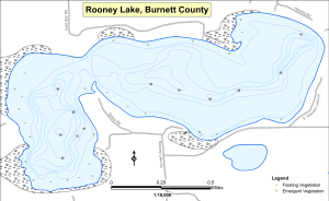 Rooney Lake Topographical Lake Map