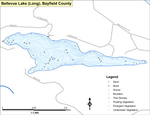 Bellevue Lake (Long) Topographical Lake Map