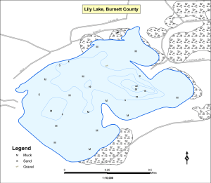 Lily Lake T41NR14WS34 Topographical Lake Map