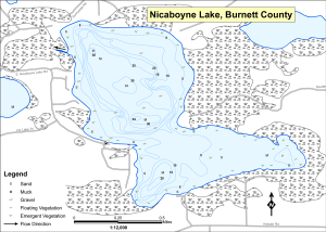 Nicaboyne Lake (Nicahoyne) Topographical Lake Map