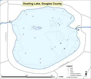 Dowling Lake Topographical Lake Map