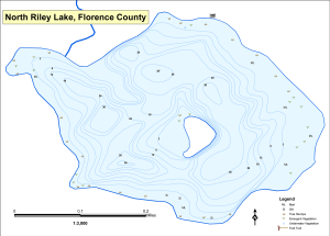 Riley Lake, North (Lt. Riley) Topographical Lake Map