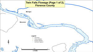 Twin Falls Flowage (1 of 2) Topographical Lake Map