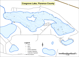 Cosgrove Lake (Railroad) Topographical Lake Map