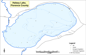 Halsey Lake Topographical Lake Map