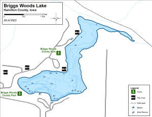 Briggs Woods Lake Topographical Lake Map