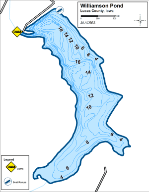 Williamson Pond Topographical Lake Map