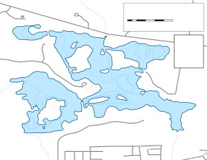 Busse Lake Topographical Lake Map