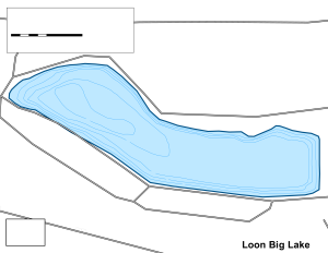 Loon Big Lake Topographical Lake Map