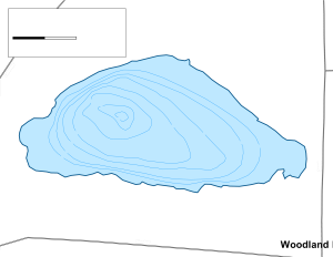 Woodland Lake Topographical Lake Map