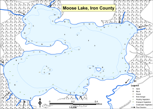 Moose Lake Topographical Lake Map