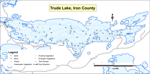 Trude Lake Topographical Lake Map
