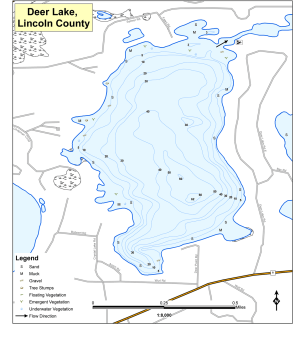 Deer Lake Topographical Lake Map