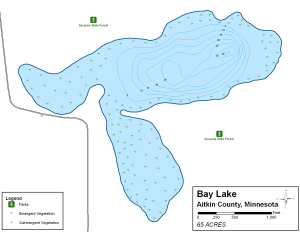 Bay Lake Topographical Lake Map