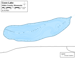 Coon Lake Topographical Lake Map