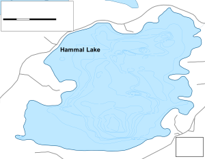 Hammal Lake Topographical Lake Map