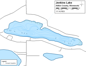 Jenkins Lake Topographical Lake Map