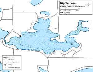 Ripple Lake Topographical Lake Map