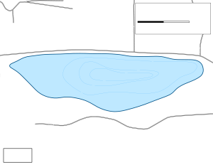 Norris Lake Topographical Lake Map