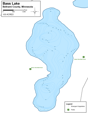Bass Lake Topographical Lake Map
