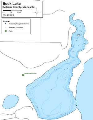 Buck Lake Topographical Lake Map