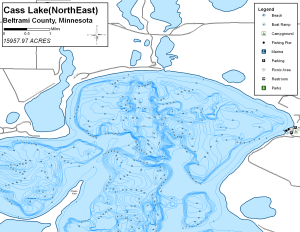 Cass Lake Northeast Topographical Lake Map