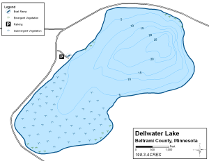 Dellwater Lake Topographical Lake Map