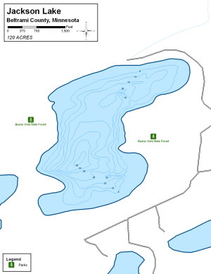 Jackson Lake Topographical Lake Map