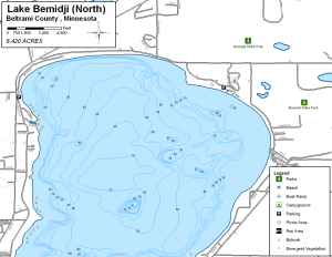 Lake Bemidji North Topographical Lake Map
