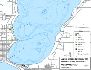 Lake Bemidji South Topographical Lake Map