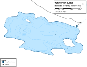 Whitefish Lake Topographical Lake Map