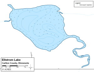 Ellstrom Lake Topographical Lake Map