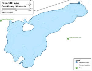 Bluebill Lake Topographical Lake Map