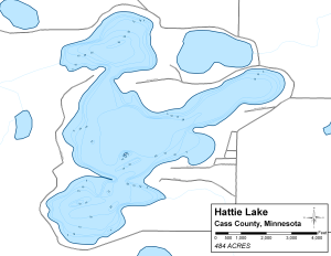 Hattie Lake Topographical Lake Map