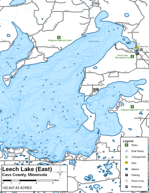 Leech Lake East Topographical Lake Map