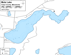Mule Lake Topographical Lake Map
