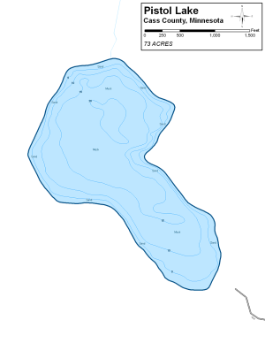 Pistol Lake Topographical Lake Map