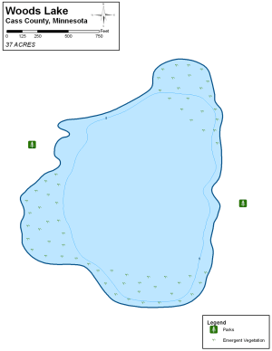 Woods Lake Topographical Lake Map