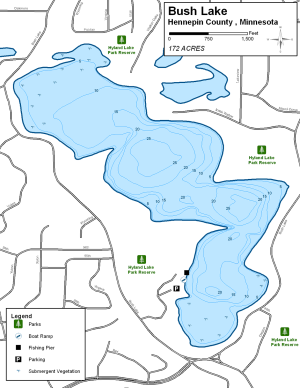 Bush Lake Topographical Lake Map