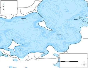 Deer Lake (Central) Topographical Lake Map