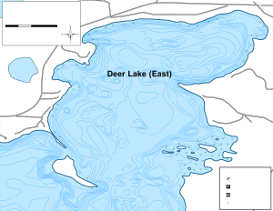 Deer Lake (East) Topographical Lake Map