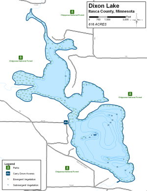 Dixon Lake Topographical Lake Map